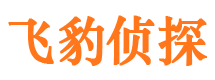 安乡找人公司